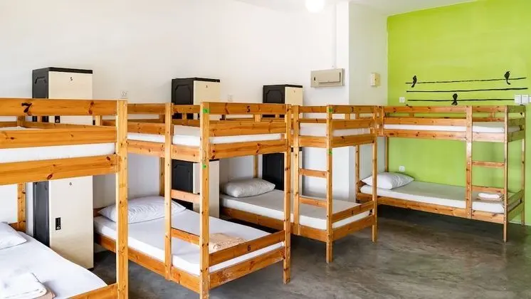 16 Bed Mixed Dorm