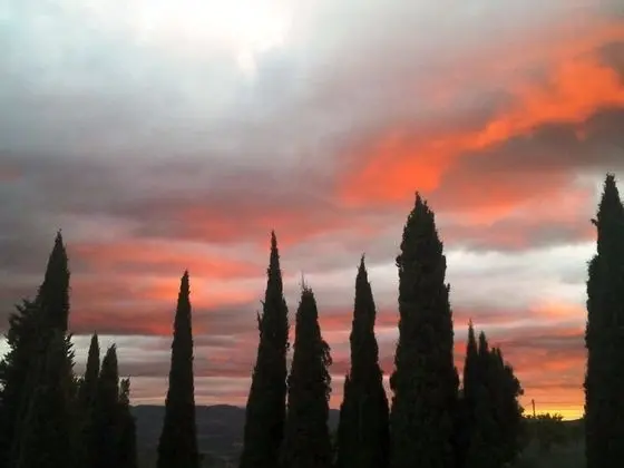 Dubleks, 1 Yatak Odası (Nest)