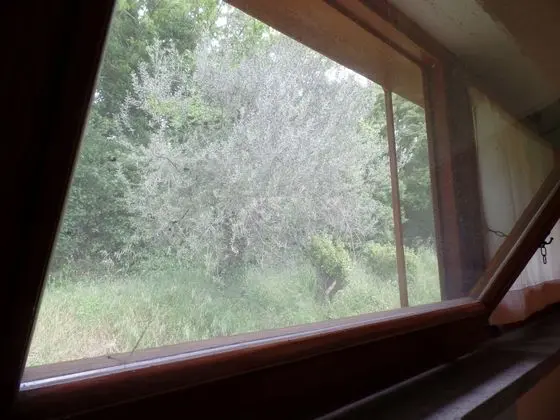 İki Ayrı Yataklı Oda, Ortak Banyo, Bahçe Manzaralı (External)