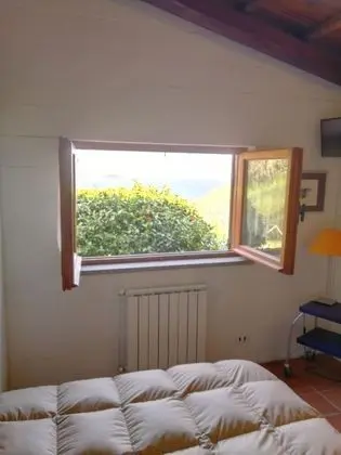 Tek Büyük Yataklı Oda, Ortak Banyo, Göl Manzaralı (External)