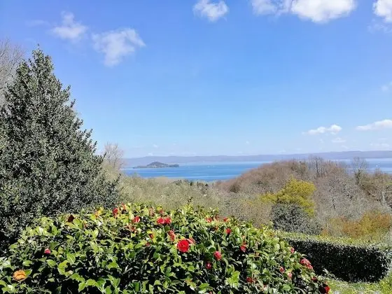 Tek Büyük Yataklı Oda, Ortak Banyo, Göl Manzaralı (External)