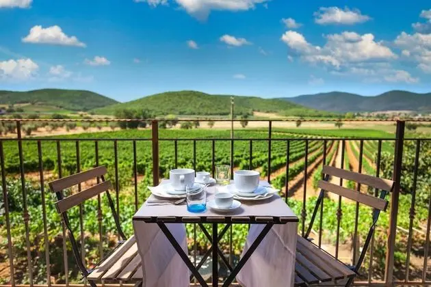 Deluxe Tek Büyük Yataklı Oda, 1 Yatak Odası, Balkon, Üzüm Asması Manzaralı