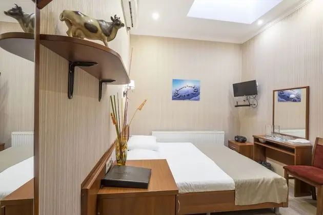 Comfort Tek Büyük Yataklı Oda (Attic)