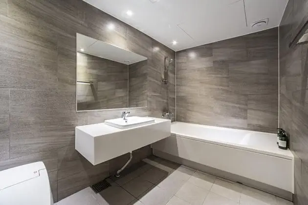 Standard Tek Büyük Yataklı Oda, Sigara İçilmez, Şehir Manzaralı