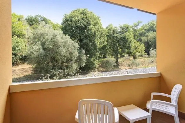 Büyük Yataklı Tek Kişilik Oda, Göl Manzaralı