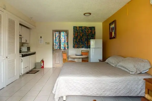 Comfort Apart Daire, 1 Çift Kişilik Yatak, Kısmi Deniz Manzarası, Denize Sıfır