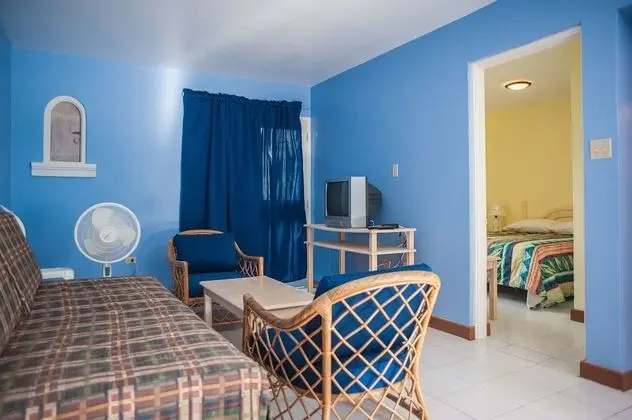 Deluxe Apart Daire, 1 Yatak Odası, Okyanus Manzaralı, Denize Sıfır