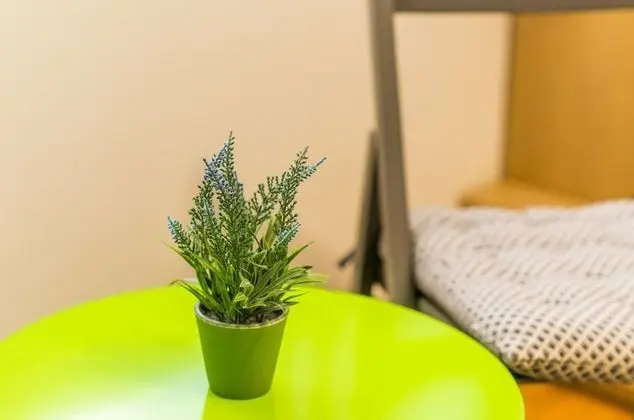 Tek Büyük Yataklı Oda (Double Room with City View)