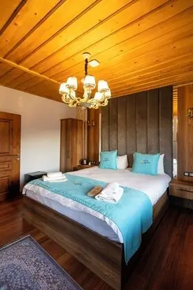 Luxury Villa