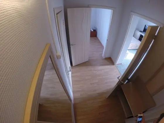 Süit