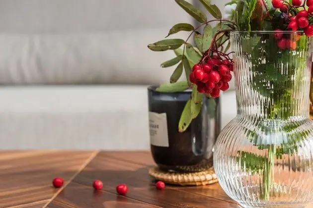 Deluxe Stüdyo Süit