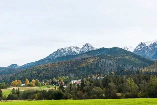 Deluxe Stüdyo Süit