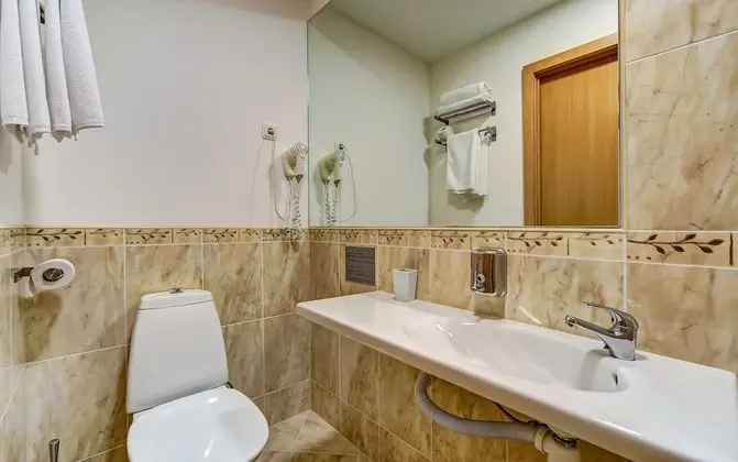 Deluxe Tek Büyük veya İki Ayrı Yataklı Oda