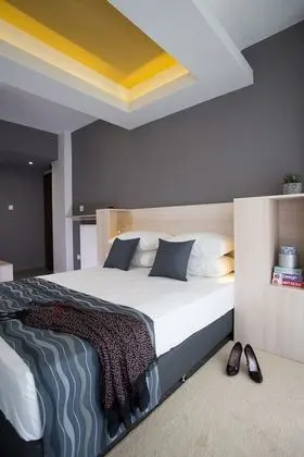 Stüdyo, Şehir Manzaralı (Triple)