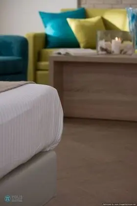 Süit