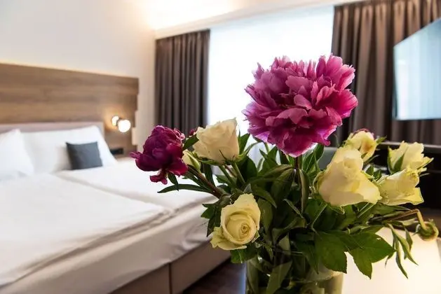 Superior Oda, 1 En Büyük (King) Boy Yatak, Park Manzaralı