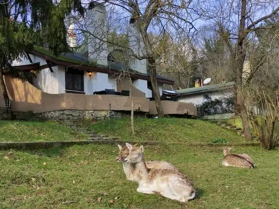 Kır Evi Deluxe