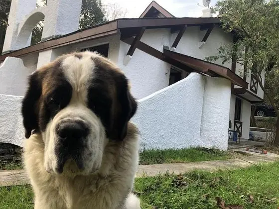 Kır Evi Deluxe