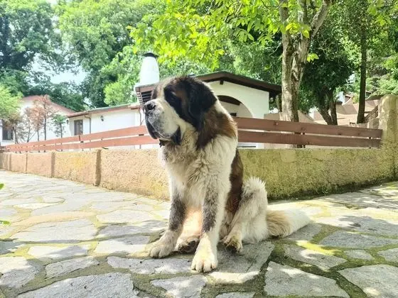 Köy Evi