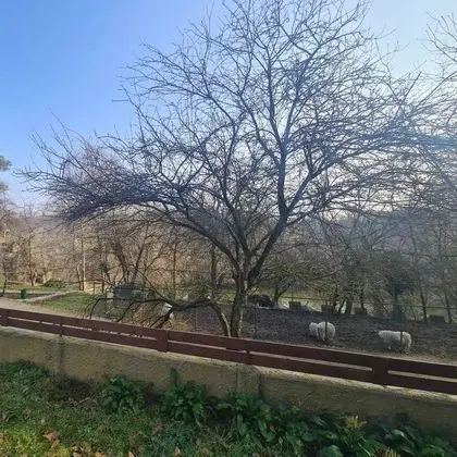 Köy Evi Suit Jakuzi