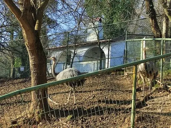 Park Oda