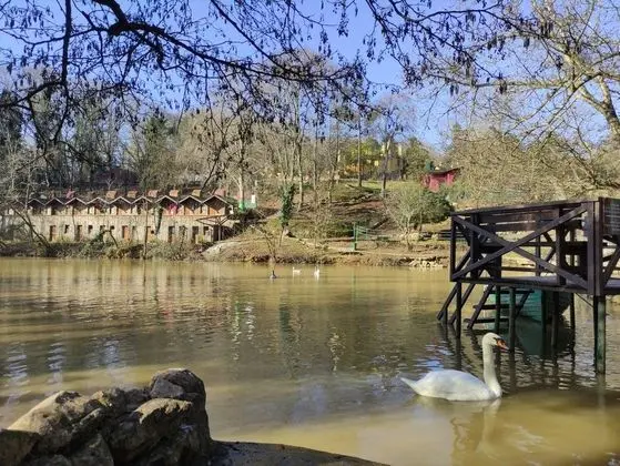 Park Oda