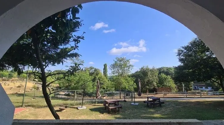 Park Oda - Bahçe