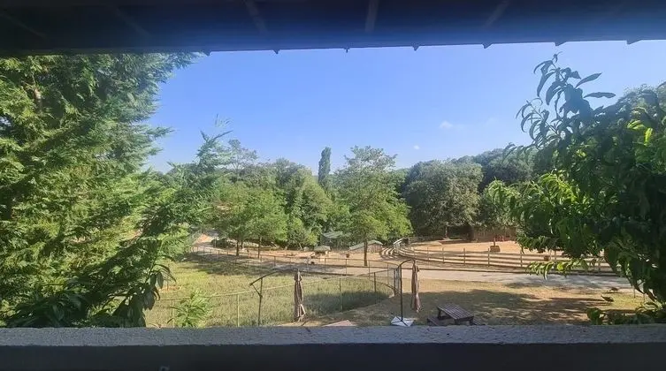 Park Oda - Manzara