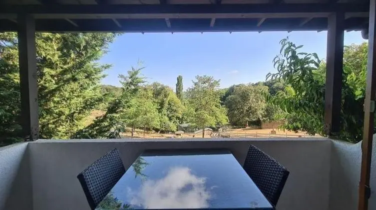Standard Park Bahce Oda