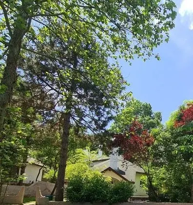 Villa 2