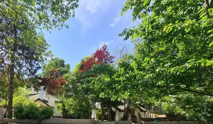 Villa 2