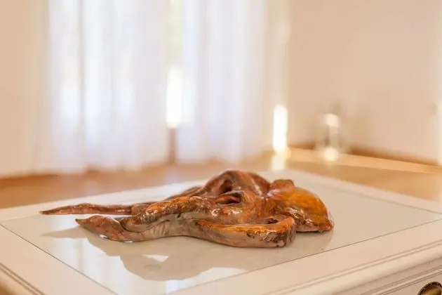 Ev (Polonijo - H(6+2))