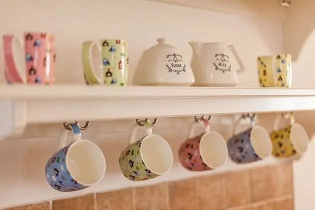 Ev (Polonijo - H(6+2))