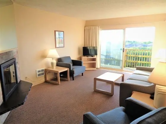 Deluxe Oda, 1 En Büyük (King) Boy Yatak ve Çekyat (One Bedroom King Condo- Park View)