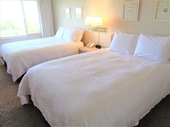 Deluxe Oda, Birden Çok Yatak (One Bedroom Queen Condo-Park View)