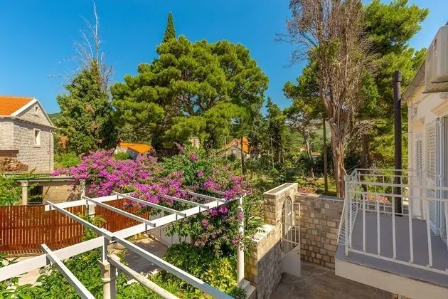 Traditional Villa