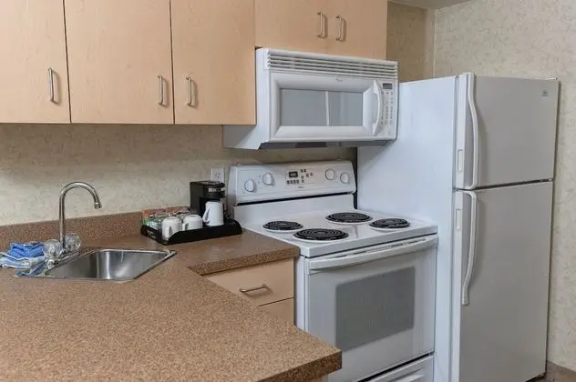 Efficiency, Süit, 1 En Büyük (King) Boy Yatak ve Çekyat, Sigara İçilmez
