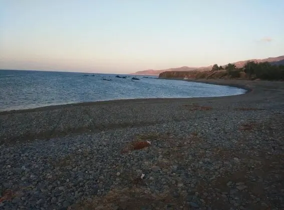 Villa, 3 Yatak Odası, Balkon