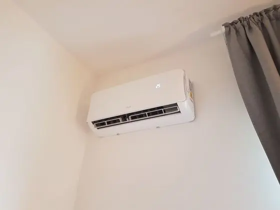 Deluxe Oda, 1 Yatak Odası, Banyolu/Duşlu