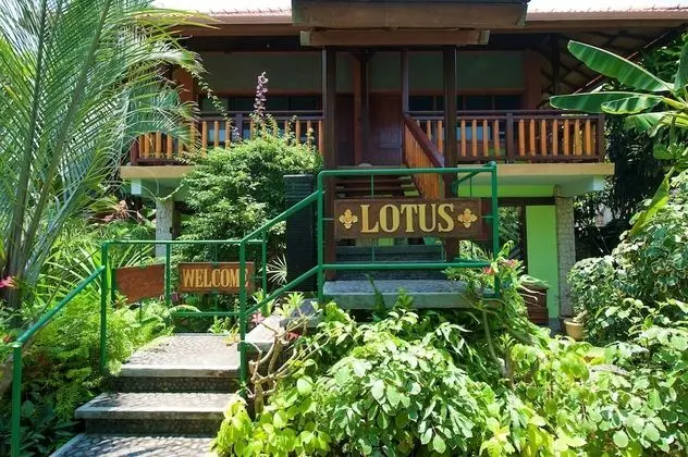 Classic Tek Büyük Yataklı Oda (Lotus 3)