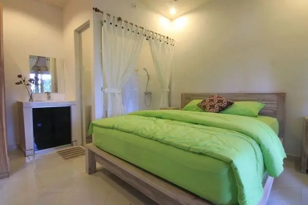 Standard Tek Büyük Yataklı Oda (Garden View)