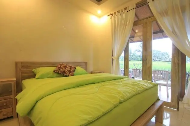 Standard Tek Büyük Yataklı Oda (Garden View)