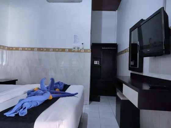 Economy Tek Büyük Yataklı Oda