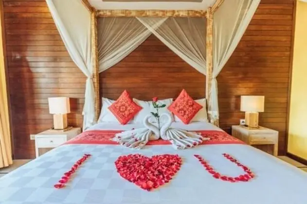 Superior Tek Büyük Yataklı Oda