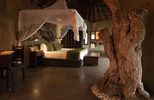 Luxury Süit (Tree)