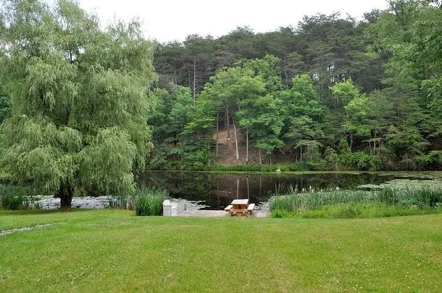 Ev, Birden Çok Yatak (Pondview Cabin)