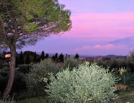 Apart Daire, Sigara İçilebilir