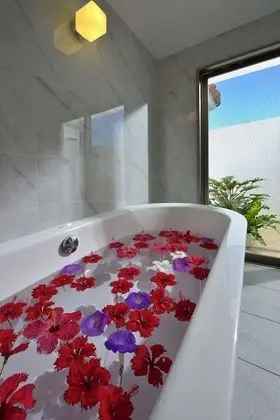 Villa, Kişiye Özel Havuzlu, Okyanusa Sıfır