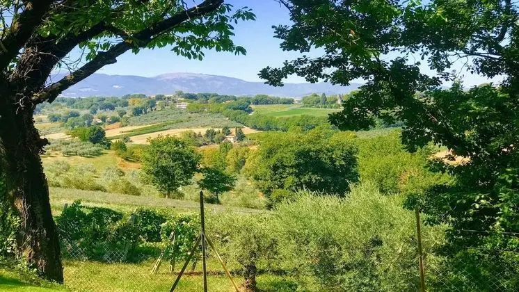 Villa, Birden Çok Yatak Odası, Veranda