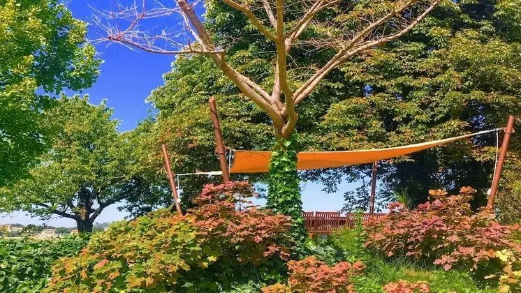 Villa, Birden Çok Yatak Odası, Veranda